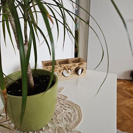 Cosy Apartment In The Heart Of Скопье Экстерьер фото